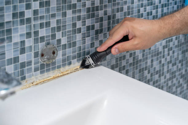 Best Mold Removal Company Near Me  in Caribou, ME